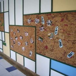 學(xué)校軟木板批發(fā) 選擇漳平市橡木林軟木制品廠的優(yōu)勢(shì)